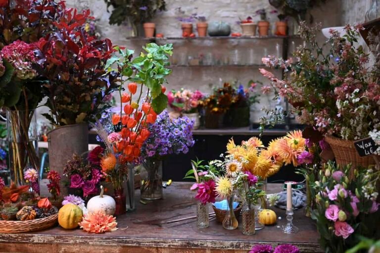 Quel fleuriste choisir à Cuise-la-Motte pour des bouquets uniques