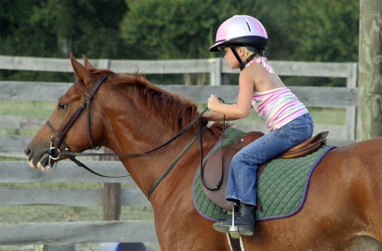 cavaliere debutante montant un cheval en exterieur