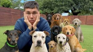 famille heureuse entouree danimaux domestiques securises