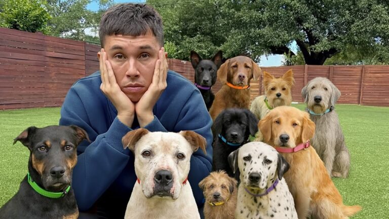 famille heureuse entouree danimaux domestiques securises